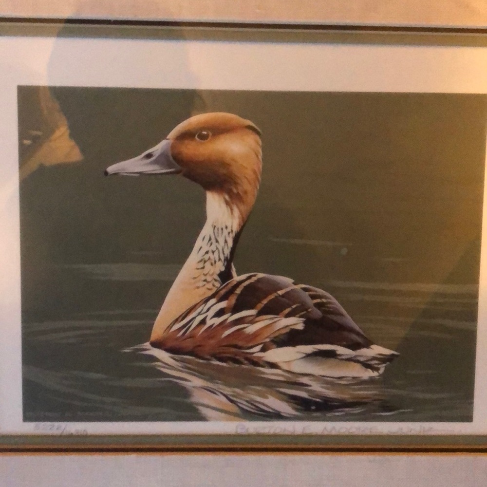 Vintage 1986 Burton E Moore Jr Framed Print - Picture 2 of 6